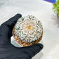 Custom Order- We’ll send you the exact live plant pictured (T3) (o6) | Ship from USA | 3" Pot