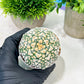 Custom Order- We’ll send you the exact live plant pictured (T4) (y4) | Vegas Plant Shop | 3" Pot