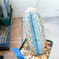 Pilosocereus Pachycladus | Cactus Plants | Imported Plants