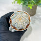 Custom Order- We’ll send you the exact live plant pictured (T5) (g1) | Imported From Japan | 3" Pot