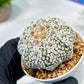 Custom Order- We’ll send you the exact live plant pictured (T5) (r5) | Las Vegas Plant Shp | 3" Pot