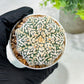 Custom Order- We’ll send you the exact live plant pictured (T5) (r6) | American Plant Seller | 3" Pot