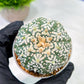 Custom Order- We’ll send you the exact live plant pictured (T5) (o3) | SHIP from USA | 3" Pot