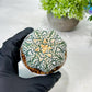 Custom Order- We’ll send you the exact live plant pictured (T8) (y2) | Las Vegas Plant Shop | 3" Pot