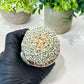 Custom Order- We’ll send you the exact live plant pictured (T8) (g5) | Las Vegas Plant Shp | 3" Pot