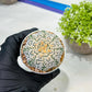 Custom Order- We’ll send you the exact live plant pictured (T9) (r5) | Las Vegas Plant Shp | 3" Pot