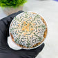 Custom Order- We’ll send you the exact live plant pictured (T9) (r5) | Las Vegas Plant Shp | 3" Pot