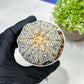 Custom Order- We’ll send you the exact live plant pictured (T9) (r6) | American Plant Seller | 3" Pot