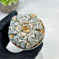 Custom Order- We’ll send you the exact live plant pictured (T10) (b1) | Imported From Japan | 3" Pot