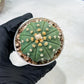 Custom Order- We’ll send you the exact live plant pictured (T10) (b5) | Las Vegas Plant Shp | 3" Pot