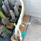 Large Euphorbia Lactea (G2) | Imported Cactus | Rare Succulent
