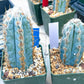 Pilosocereus Pachycladus | Cactus Plants | Imported Plants