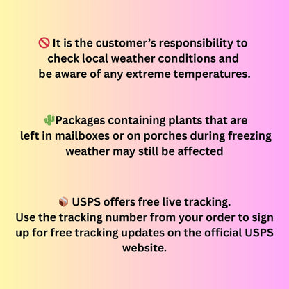 PLEASE read all of the slides | Heat Pack USA | Cactus