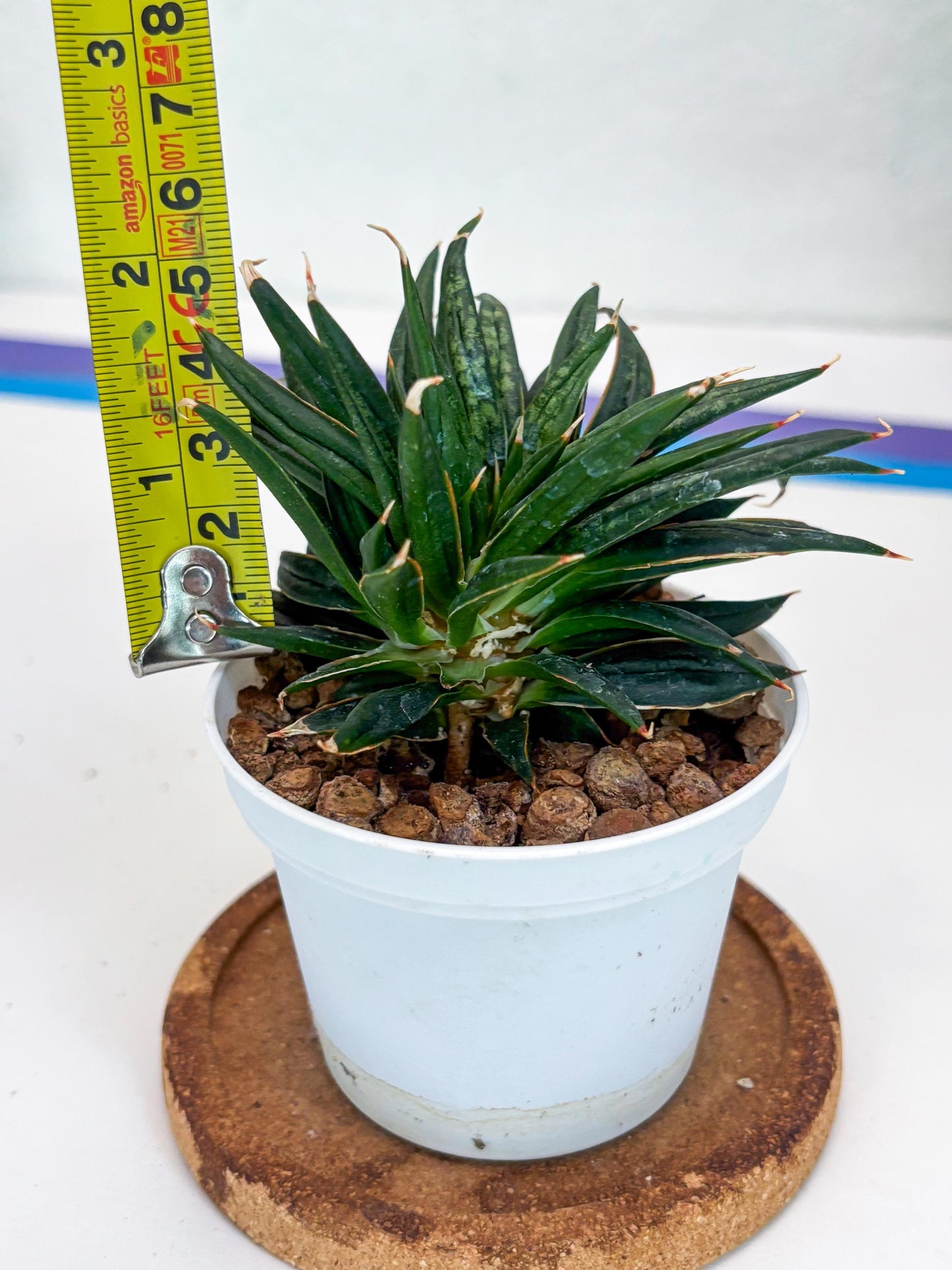 Custom order for Alex