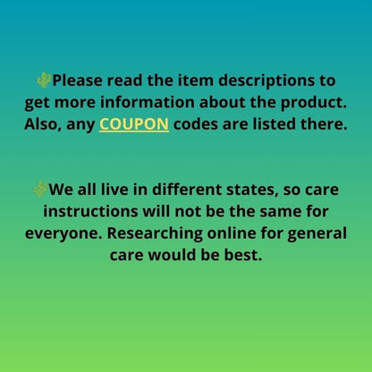 Coryphantha Elephantidens Cristata (r) | Discounted