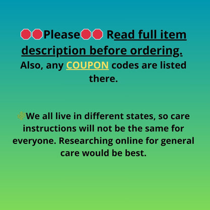 Euphorb Kibwezensis Crested (p) | Rare Plant
